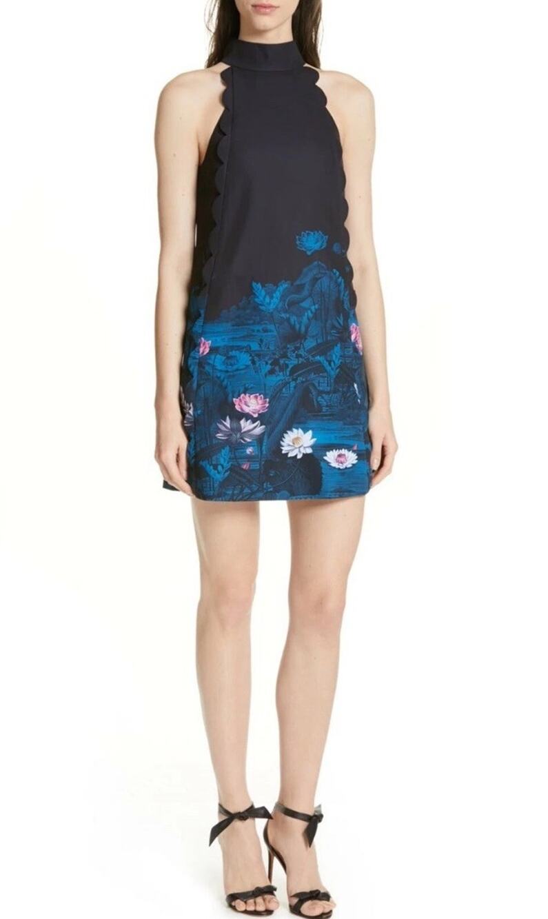 New Ted Baker London Eurela Wonderland Scalloped A-Line Dress Ted's Size 4
